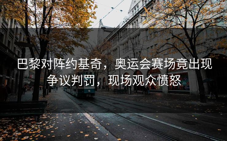 巴黎对阵约基奇，奥运会赛场竟出现争议判罚，现场观众愤怒