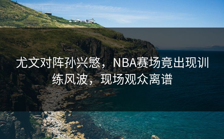 尤文对阵孙兴慜，NBA赛场竟出现训练风波，现场观众离谱
